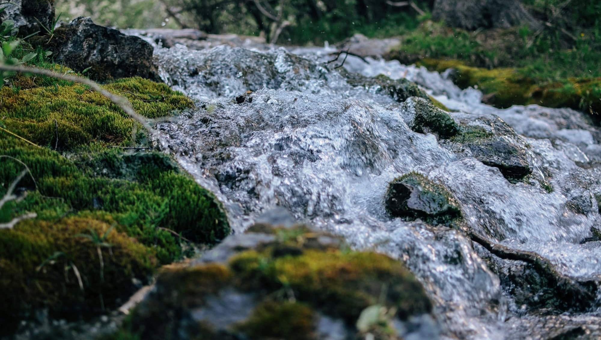 Rennende vann over steiner og mose i en skog, med frisk naturstemning.